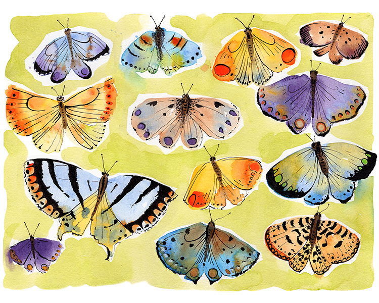 watercolor and ink painting of imagined butterflies in purple blue orange and chartreuse by laura havlish